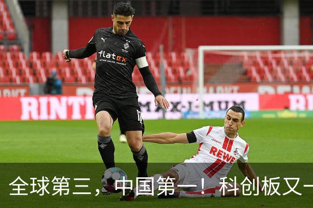 全球第三，中国第一！科创板又一巨型IPO获受理