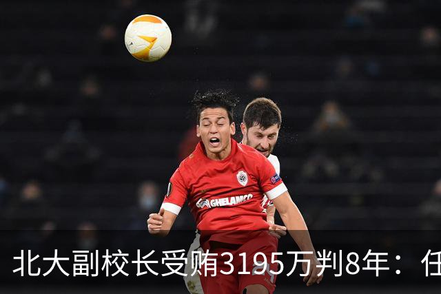 北大副校长受贿3195万判8年：任羽中案最可怕的不是贪了多少，而是……